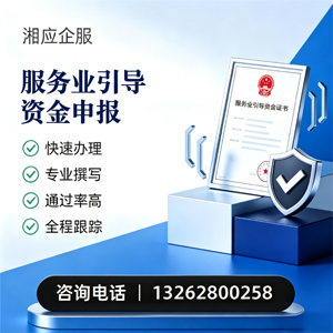 海南服务业引导资金申报服务