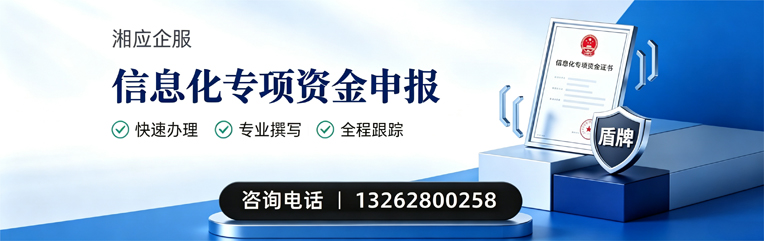 海南信息化专项资金申报服务