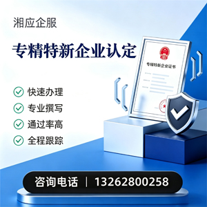 海南专精特新企业申报服务