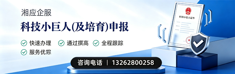 海南科技小巨人及培育企业申报服务
