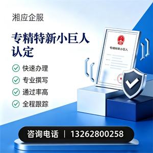 海南专精特新小巨人申报服务