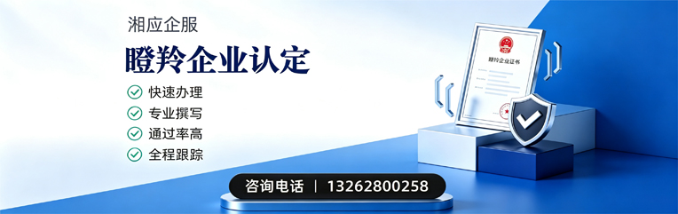 海南瞪羚企业认定申报服务