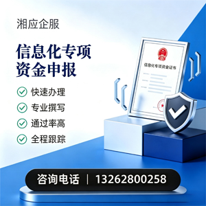 海南信息化专项资金申报服务