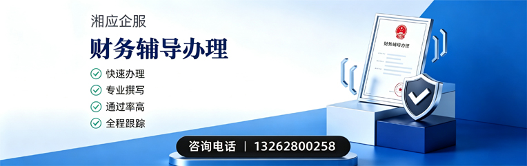 海南财务辅导申请服务