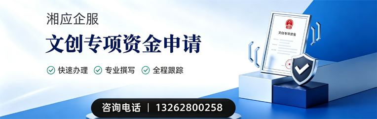 海南文创专项资金申报服务