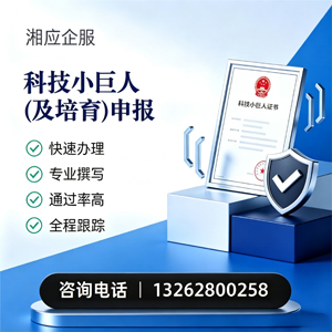 海南科技小巨人及培育企业申报服务