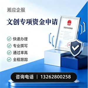 海南文创专项资金申报服务