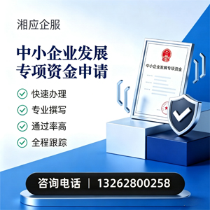 海南中小企业发展专项资金申报服务