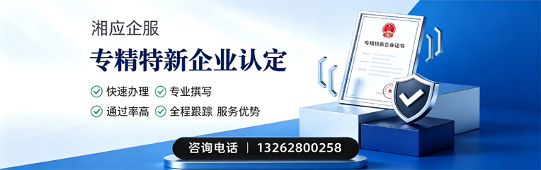 海南专精特新企业申报服务
