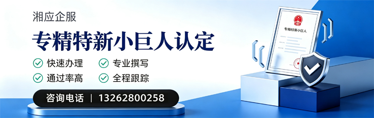 海南专精特新小巨人申报服务